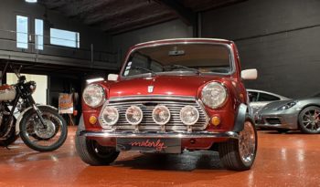 MINI 1300 SEALINE plein