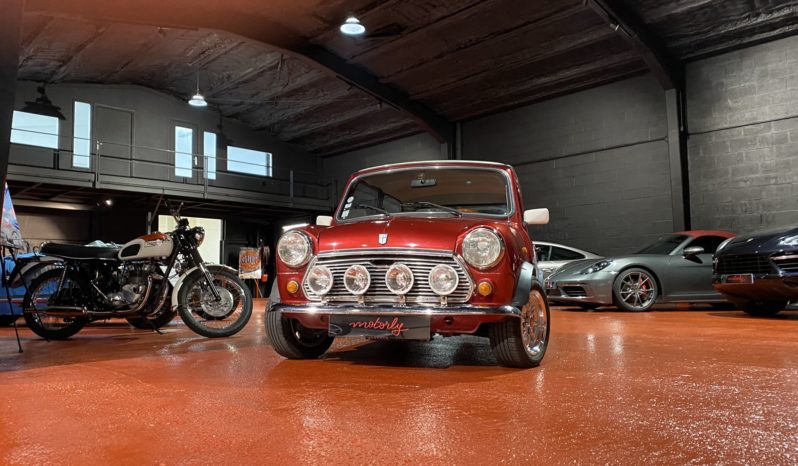 MINI 1300 SEALINE plein
