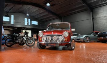 MINI 1300 SEALINE plein