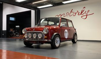 MINI 1300 SEALINE plein