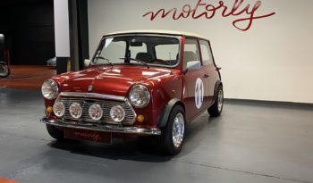 MINI 1300 SEALINE plein