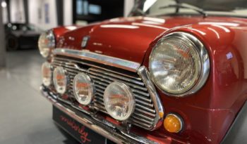 MINI 1300 SEALINE plein
