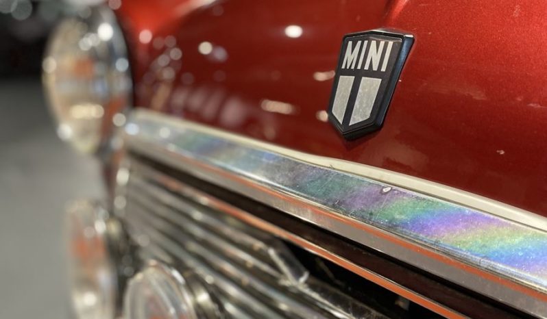 MINI 1300 SEALINE plein