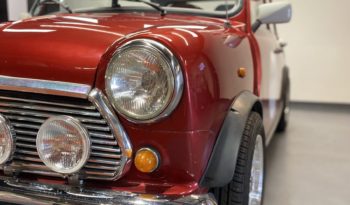 MINI 1300 SEALINE plein