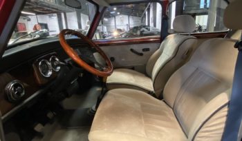 MINI 1300 SEALINE plein