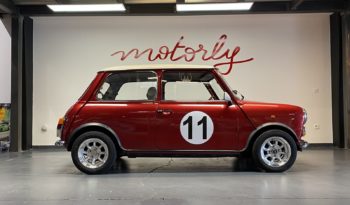 MINI 1300 SEALINE plein