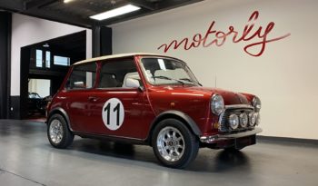 MINI 1300 SEALINE plein