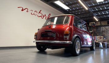 MINI 1300 SEALINE plein