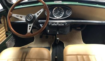 MINI INNOCENTI 1967 plein