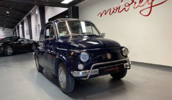 FIAT 500 L – 1965 plein