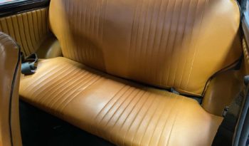 FIAT 500 L – 1965 plein