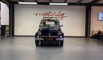 FIAT 500 L – 1965 plein