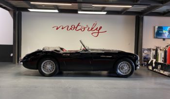 AUSTIN – HEALEY 100/6 BN4 plein