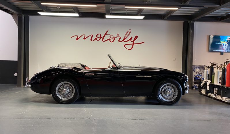 AUSTIN – HEALEY 100/6 BN4 full