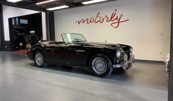 AUSTIN – HEALEY 100/6 BN4 plein