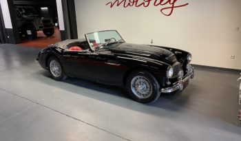 AUSTIN – HEALEY 100/6 BN4 plein