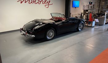 AUSTIN – HEALEY 100/6 BN4 plein