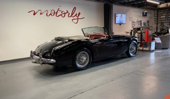 AUSTIN – HEALEY 100/6 BN4 plein