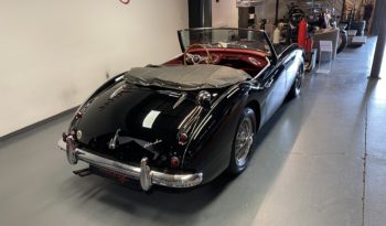 AUSTIN – HEALEY 100/6 BN4 plein