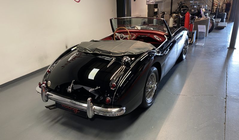AUSTIN – HEALEY 100/6 BN4 plein