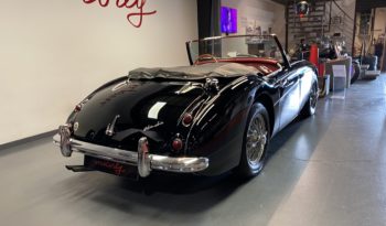 AUSTIN – HEALEY 100/6 BN4 plein