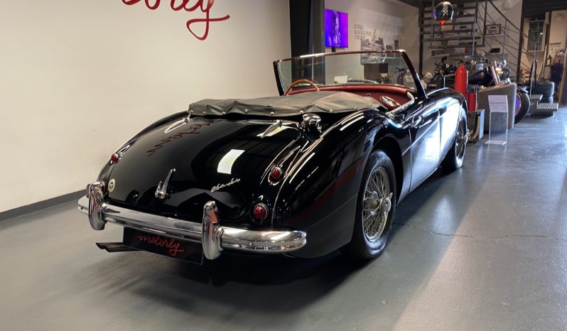 AUSTIN – HEALEY 100/6 BN4 plein