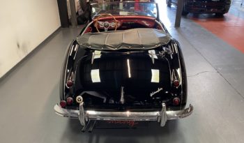 AUSTIN – HEALEY 100/6 BN4 plein