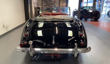 AUSTIN – HEALEY 100/6 BN4 plein