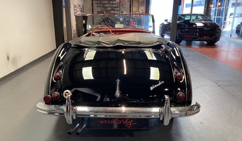 AUSTIN – HEALEY 100/6 BN4 plein