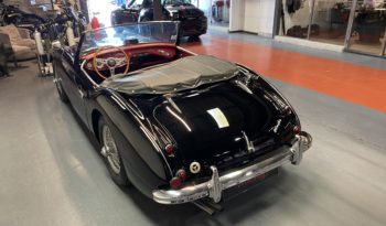 AUSTIN – HEALEY 100/6 BN4 plein