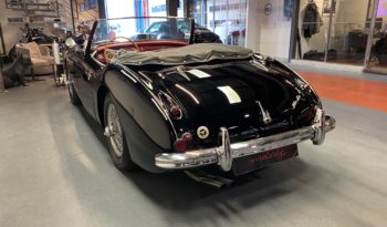 AUSTIN – HEALEY 100/6 BN4 plein