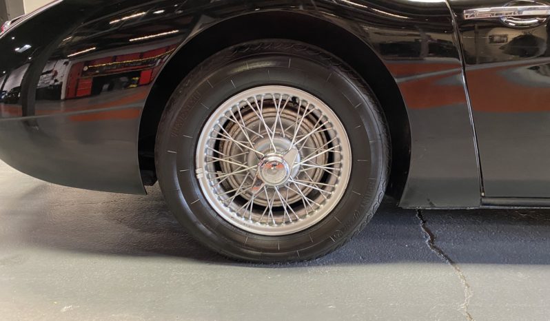 AUSTIN – HEALEY 100/6 BN4 plein