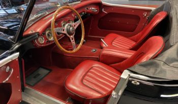 AUSTIN – HEALEY 100/6 BN4 plein