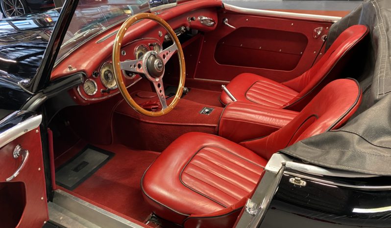 AUSTIN – HEALEY 100/6 BN4 plein