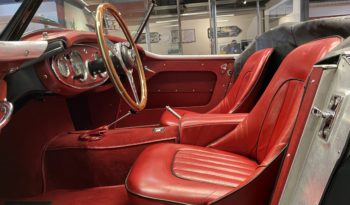 AUSTIN – HEALEY 100/6 BN4 plein