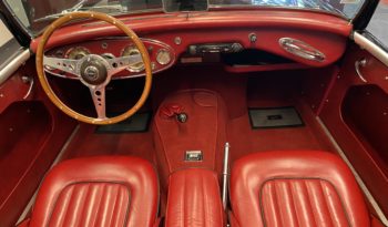 AUSTIN – HEALEY 100/6 BN4 plein