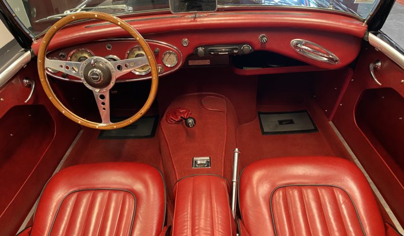 AUSTIN – HEALEY 100/6 BN4 plein
