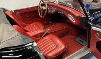 AUSTIN – HEALEY 100/6 BN4 plein