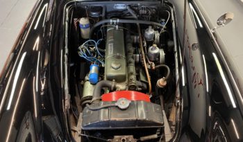 AUSTIN – HEALEY 100/6 BN4 plein