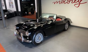 AUSTIN – HEALEY 100/6 BN4 plein