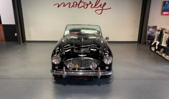 AUSTIN – HEALEY 100/6 BN4 plein