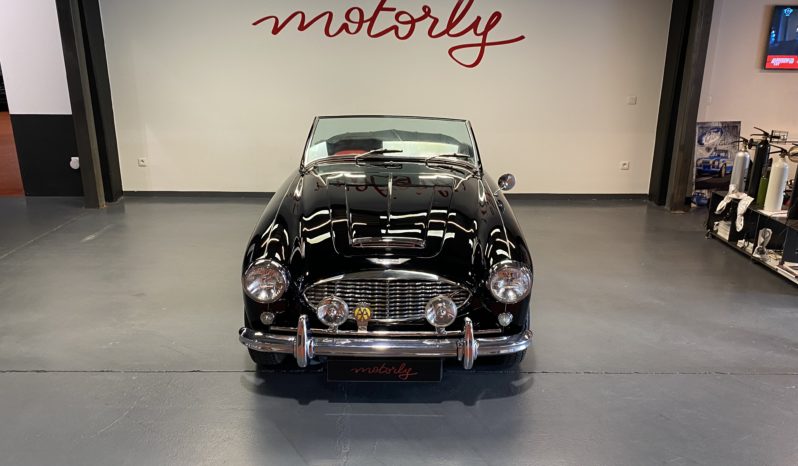 AUSTIN – HEALEY 100/6 BN4 plein