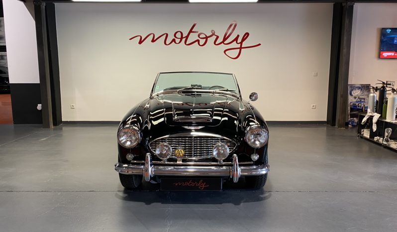 AUSTIN – HEALEY 100/6 BN4 plein
