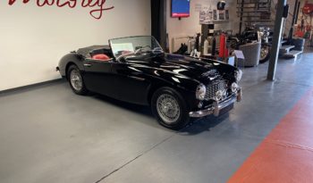 AUSTIN – HEALEY 100/6 BN4 plein