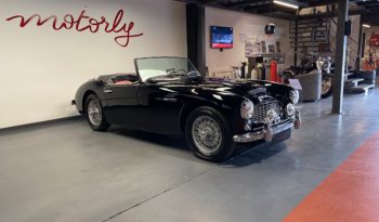 AUSTIN – HEALEY 100/6 BN4 plein