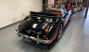 AUSTIN – HEALEY  3000  MK3 HBJ8 full