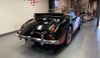 AUSTIN – HEALEY – 3000 – MK3 – HBJ8 full