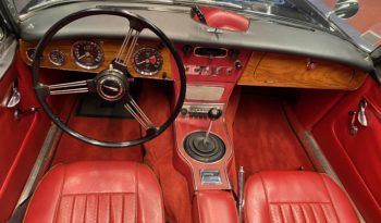 AUSTIN – HEALEY  3000  MK3 HBJ8 full