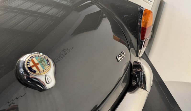 ALFA ROMEO GIULIA 1600 SPIDER plein