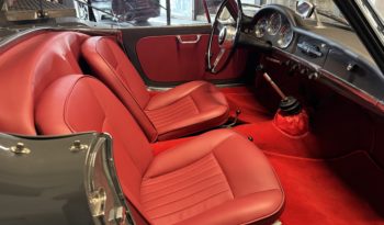 ALFA ROMEO GIULIA 1600 SPIDER plein